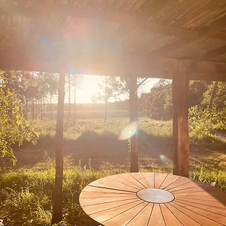 Romantique Avec Jacuzzi Privatif Au Coeur De La Foret *