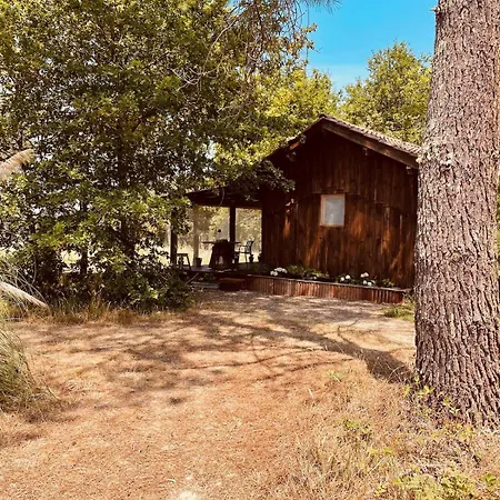 Romantique Avec Jacuzzi Privatif Au Coeur De La Foret * Mauleon-D'armagnac